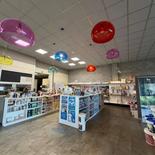 gallery (2)