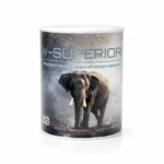 W-SUPERIOR - immagine 3